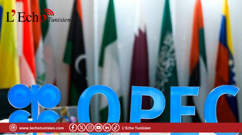 الإمارات تنسحب من ‘أوبك’ و ‘أوبك +’