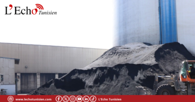 وزير البيئة يدعو إلى تقليص إستعمال الفحم البترولي وتثمين النفايات والوقود البديل