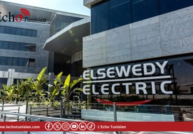 Elsewedy Electric renforce sa présence en Algérie avec un investissement supplémentaire de 1,3 milliard de dollars
