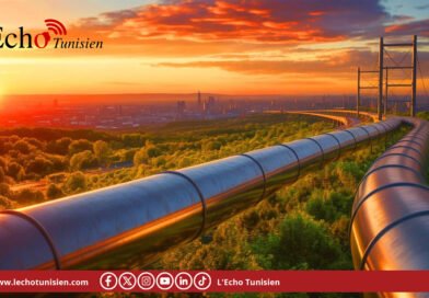 Les prix du gaz européen s’envolent à nouveau