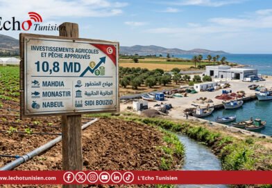 L’agriculture – pêche : 10,8 MD d’investissements approuvés à Mahdia, Monastir, Nabeul et Sidi Bouzid