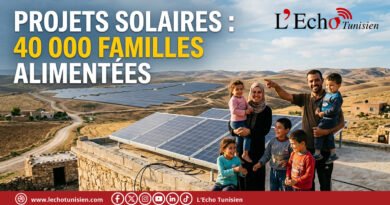 Projets solaires: 40 000 familles alimentées, mais à quel prix ?