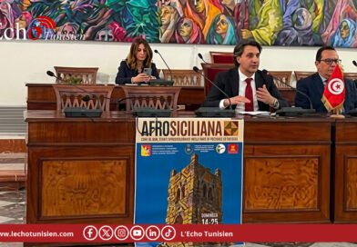 Dispositif industriel conjoint : l’Italie et la Tunisie ciblent l’Afrique grâce à un contenu local minimum de 35 %