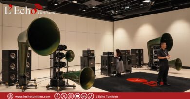 Quand la Chine défie Wilson Audio et Goldmund sur le trône du luxe sonore