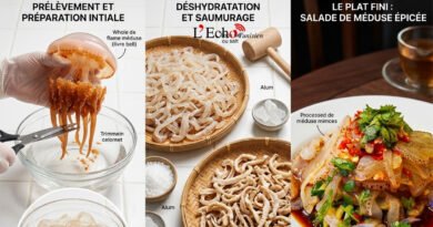 Méduses comestibles : un trésor nutritionnel et biotechnologique méconnu !