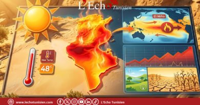 Été 2026 exceptionnellement chaud en Tunisie : Nino et réchauffement climatique, quelles conséquences ?