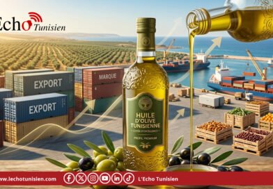 Excédent commercial record pour le secteur agricole : l’huile d’olive au premier plan