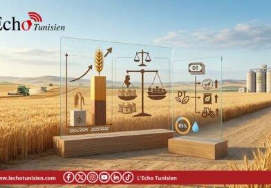 La Tunisie renforce ses stocks céréaliers avec une commande massive de blé et d’orge