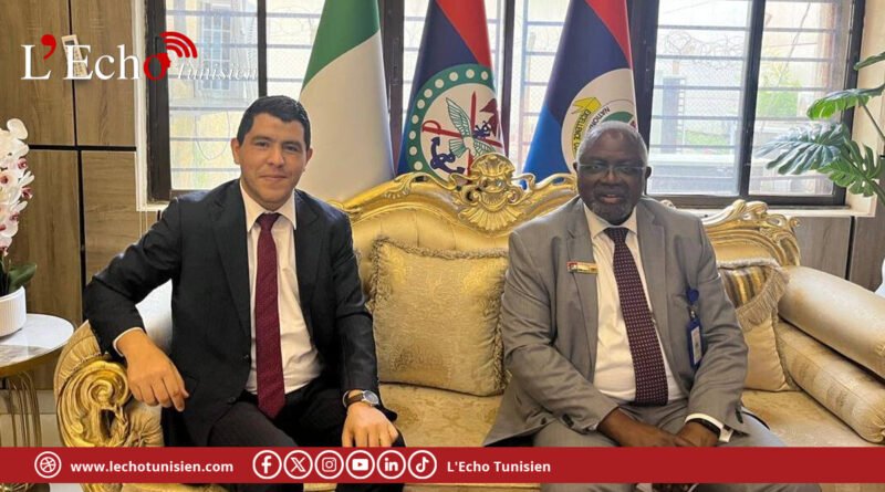 Tunisie – Nigeria : renforcement de la coopération dans la défense et la formation stratégique