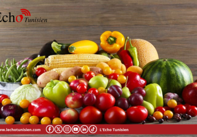 خلال سنة 2025: ارتفاع بـ60% في عائدات صادرات الفواكه والخضر إلى إيطاليا