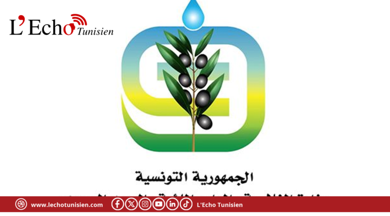 وزارة الفلاحة تحذّر الجالية التونسية بالخارج من جلب النباتات والمنتجات النباتية