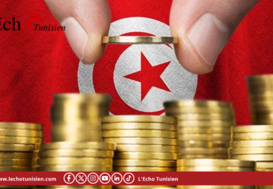 وزير الاقتصاد: ارتفاع الاستثمارات الأجنبية المباشرة في تونس بـ25%