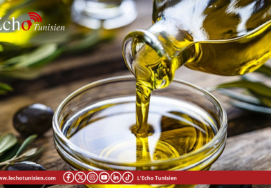 ارتفاع عائدات صادرات زيت الزيتون