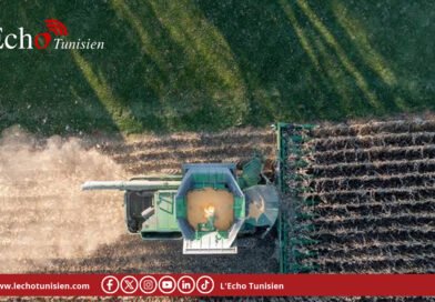 L&rsquo;Afrique centrale lance un plan décennal pour révolutionner son agroalimentaire