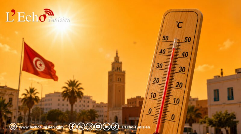 Canicule en Tunisie : le mercure explose à 49°C