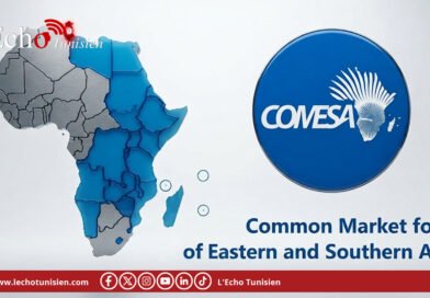 Coopération Tunisie-COMESA : un comité conjoint voit le jour