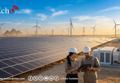 L&rsquo;Égypte mise sur 390 millions de dollars émiratis pour sécuriser son avenir renouvelable