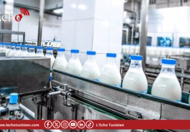 Lait frais stérilisé: 19,8 millions de litres en stock