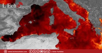 La Méditerranée en état d&rsquo;urgence thermique !