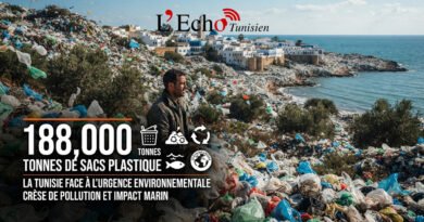 La Tunisie face à l’urgence de ses 188 000 tonnes de plastique
