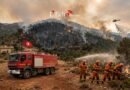 Face au choc climatique, la menace des incendies en Tunisie s&rsquo;intensifie