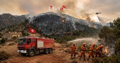 Face au choc climatique, la menace des incendies en Tunisie s&rsquo;intensifie