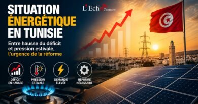 Situation énergétique en Tunisie : Entre hausse du déficit et pression estivale, l&rsquo;urgence de la réforme