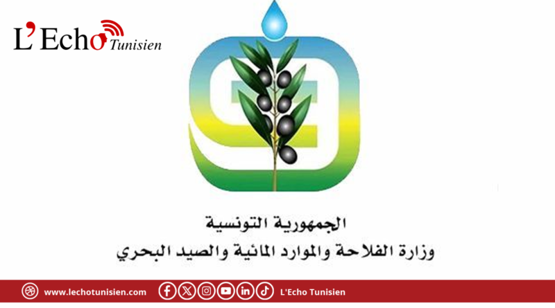 وزارة الفلاحة تدعو إلى اتخاذ الاحتياطات اللازمة تحسبا لتقلبات جوية مرتقبة