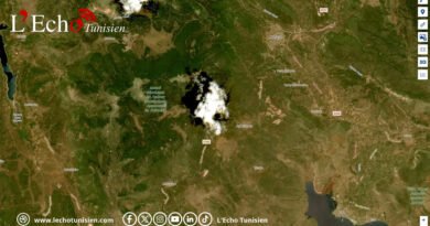 Et si vous pouviez vérifier vous-même l&rsquo;origine d&rsquo;un incendie depuis l&rsquo;espace ?