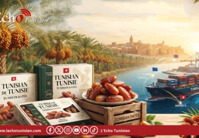 Les exportations  tunisiennes de dattes atteignent 854,4 MDT