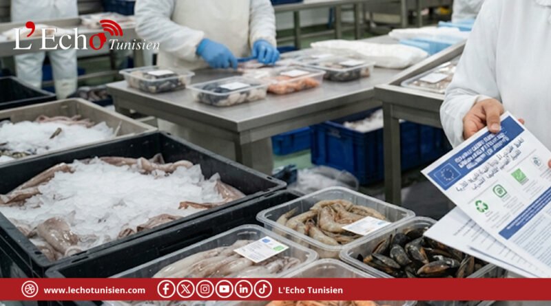 La filière pêche tunisienne en alerte face au nouveau cadre européen des emballages