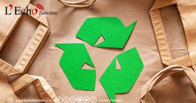PPWR : la facture silencieuse des emballages verts