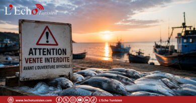 Lambouka : attention aux poissons vendus avant l’heure !