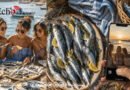 Le « poisson du pauvre » devient l&rsquo;accessoire chic de l&rsquo;été