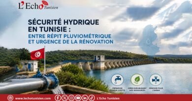 Sécurité hydrique en Tunisie : Entre répit pluviométrique et urgence de la rénovation