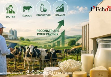 Après la crise,  le ministère de l’Agriculture dévoile sa stratégie de survie pour la filière laitière