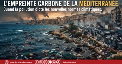 L’empreinte carbone de la Méditerranée : quand la pollution dicte les nouvelles normes climatiques