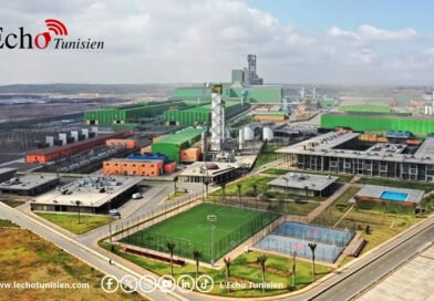 China Baowu planche sur la renaissance du site sidérurgique algérien