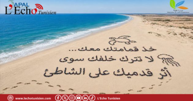 رفع نحو 6 آلاف متر مكعب من الفضلات تركها مصطافون بالشواطئ