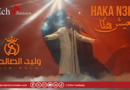 Festival international de Nabeul : Walid Salahi, l&rsquo;artiste populaire qui met le public nabeulien en transe !