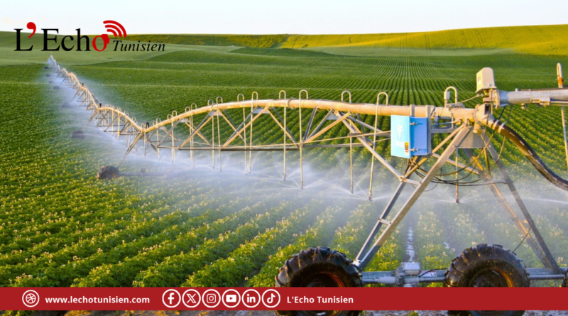 الاستثمارات الفلاحية الخاصة المصادق عليها ترتفع بـ15 بالمائة إلى موفى ماي 2026