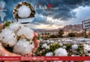 Gafsa : des grêlons géants, véritables projectiles glacés