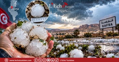 Gafsa : des grêlons géants, véritables projectiles glacés