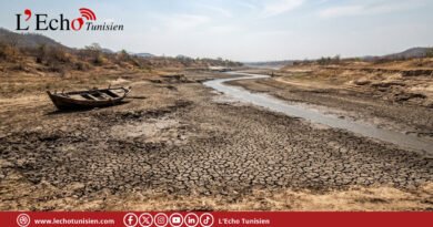 L’OMM alerte : les rivières de la planète s’assèchent !