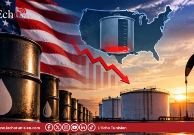 Réserve stratégique américaine : stocks de pétrole au plus bas depuis 1982 aux Etats Unis