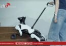Robot-guide Xiaoyuan : la Chine invente le chien d’aveugle 4.0