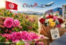 La rose tunisienne face à l’offensive des fleurs importées