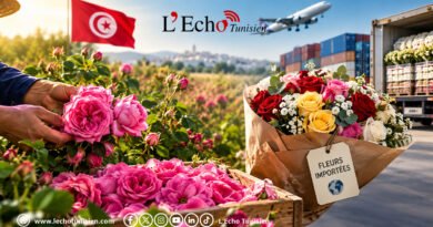 La rose tunisienne face à l’offensive des fleurs importées