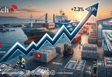 Flambée des importations de produits de la pêche +7,3 %