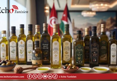 Huile d&rsquo;olive : 156 millions de dinars de ventes en Jordanie